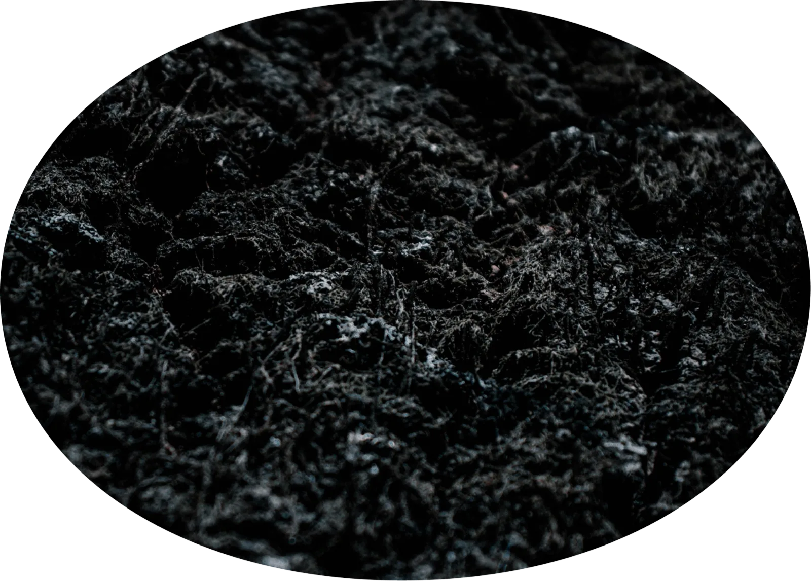 Close-up of dark, porous biochar